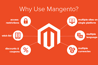 develop, build or create a professional magento store