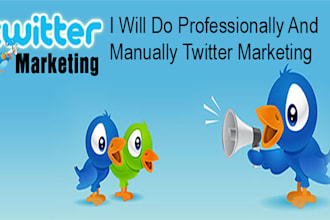be your professional twitter marketing manager