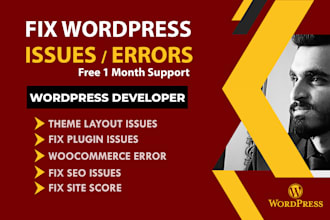 fix wordpress issues,  bugs and errors in 24 hours