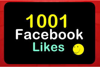 add 1001 Facebook  likes to page Never drop