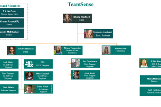design a professional flowchart, org chart in powerpoint