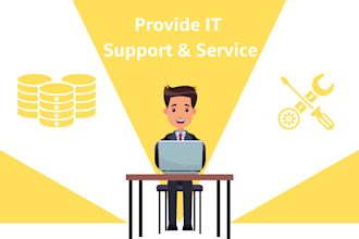 provide IT  support and services