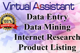do your virtual task as your talented virtual assistant