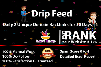 drip feed, daily 2 unique domian backlinks of da 20 plus
