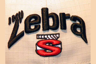 do professional embroidery digitizing