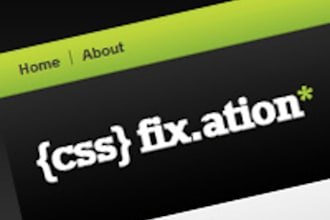 fix any css or javascript issues in your website or blog