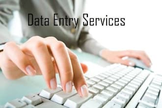 do data entry and data editing offline and online