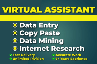 be your virtual assistant for data entry, data mining, web research, copy paste