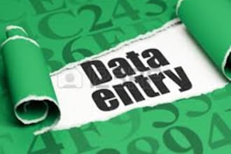 do any kind of data entry