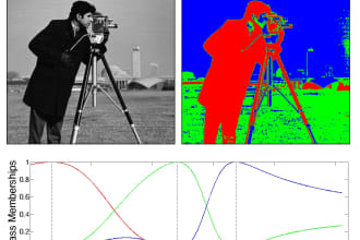 do image classification, segmentation and object detection