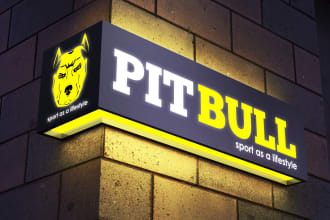 create an exclusive logo design for you