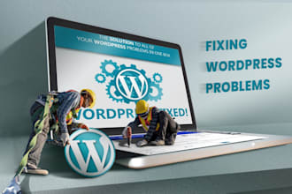 fix wordpress errors, issues and theme customization