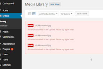 fix wordpress, errors, issues, and customization wordpress issue