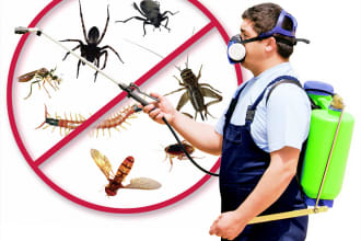 post your article to my pest control website