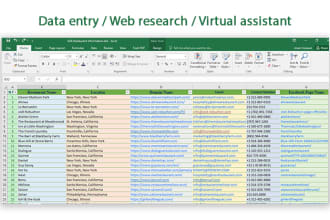 do excel data entry, web research, data entry, copy paste, virtual assistant