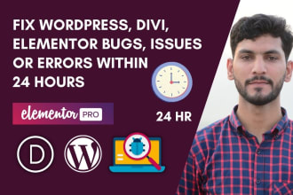 fix wordpress, divi bugs, issues or errors for you