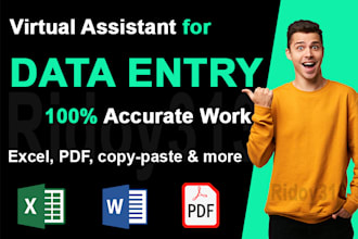 do excel data entry, data cleaning, PDF to excel, typing, copy paste, scraping