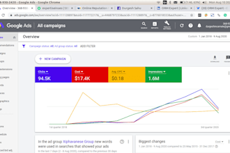 setup google adwords PPC campaigns for you