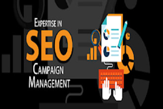 run full seo campaign to increase your google ranking