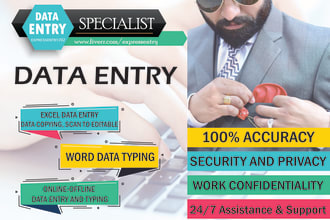 provide efficient and accurate data entry services
