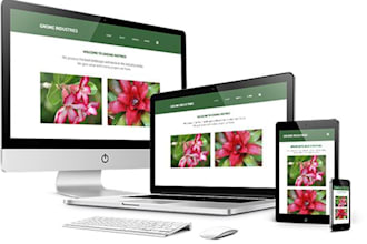 build professional wordpress website from scratch