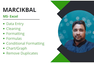 do urgent excel data entry, formatting and cleaning
