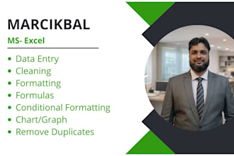 do urgent excel data entry, formatting and cleaning