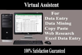 do data entry typing and copy paste work