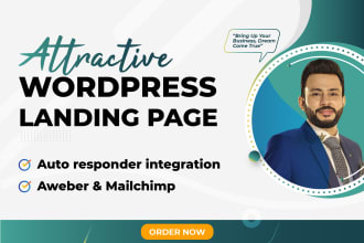 design a attractive wordpress landing page for your business