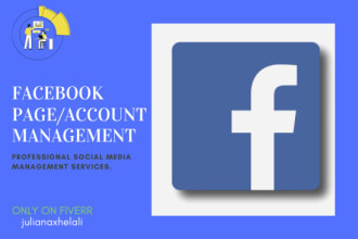 professionally manage your facebook business page