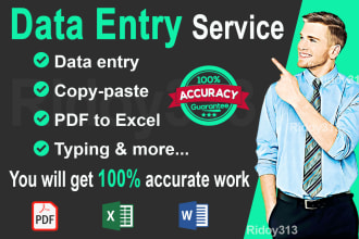 do data entry, typing, copy paste, excel data entry, cleaning, PDF to excel, VA