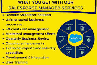 be your salesforce consultant for a month