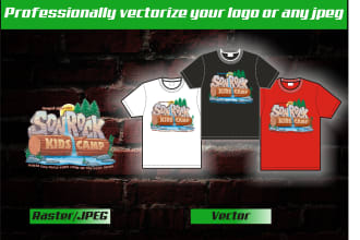 professionally vectorize your logo or any jpg