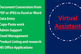 be your virtual assistant, data entry, copy and paste