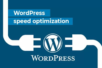 do wordpress speed optimization for google page speed
