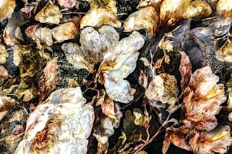 fix or edit ai generated artwork professionally