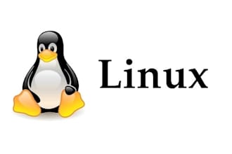 work as a linux system administrator