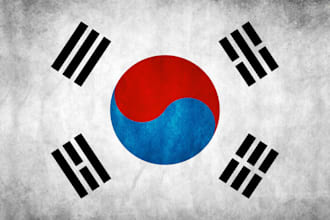 professionally translate english to korean and vice versa