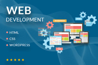 fix or solve any kind of bugs, issues in wordpress