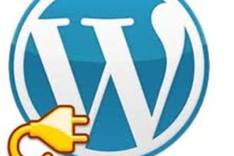 professionally design, setup and give a attractive look and feel to your wordpress website very quickly