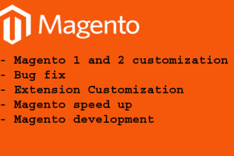do customization and bug fix in magento