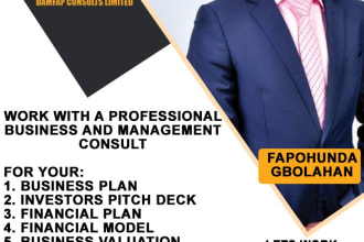 craft a sba, loan or investor business plan for you