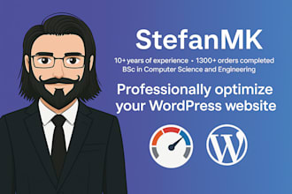 professionally optimize your wordpress website