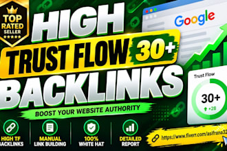 build high trust flow tf 30 plus homepage SEO backlinks