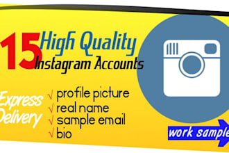 give you 15 High Quality Instagram Accounts extremely fast 24 Hours Delivery