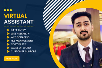 be your virtual assistant for data entry and web research
