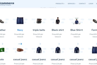 develop ecommerce website in php and django