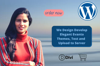 create or modify professional wordpress website