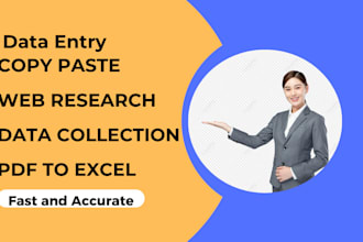 do excel data entry, copy paste, web research, and PDF to excel