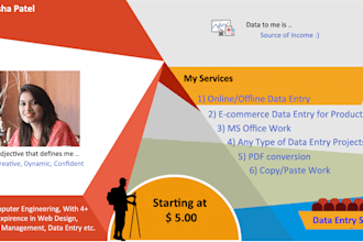 do data entry, product entry and data conversion